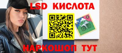прущие грибы Кингисепп