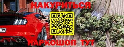 прущие грибы Кингисепп