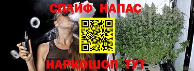 прущие грибы Кингисепп