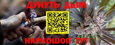 прущие грибы Кингисепп