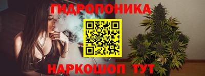 прущие грибы Кингисепп