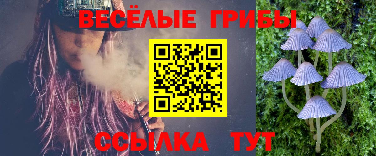 Псилоцибиновые грибы ЛСД  Псилоцибиновые грибы прущие грибы  купить   Вход с VPN  Элиста 