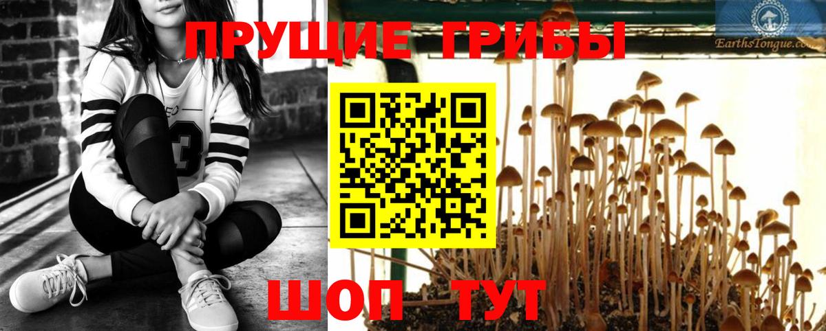 Псилоцибиновые грибы мухоморы Элиста