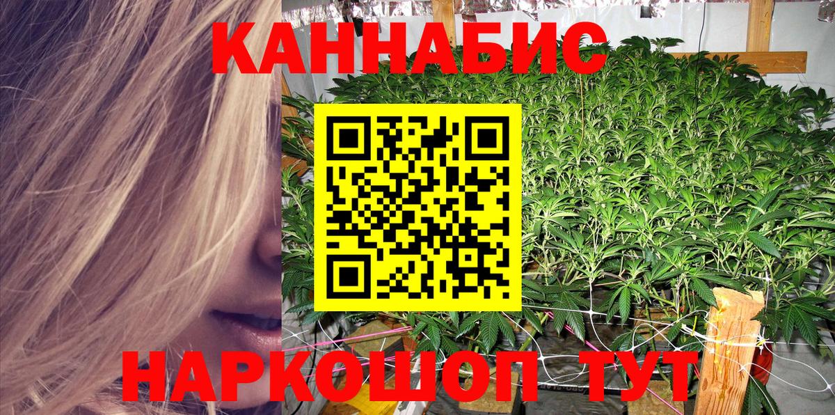Канабис план  Вход с VPN  Бошки Шишки тримм  Элиста 